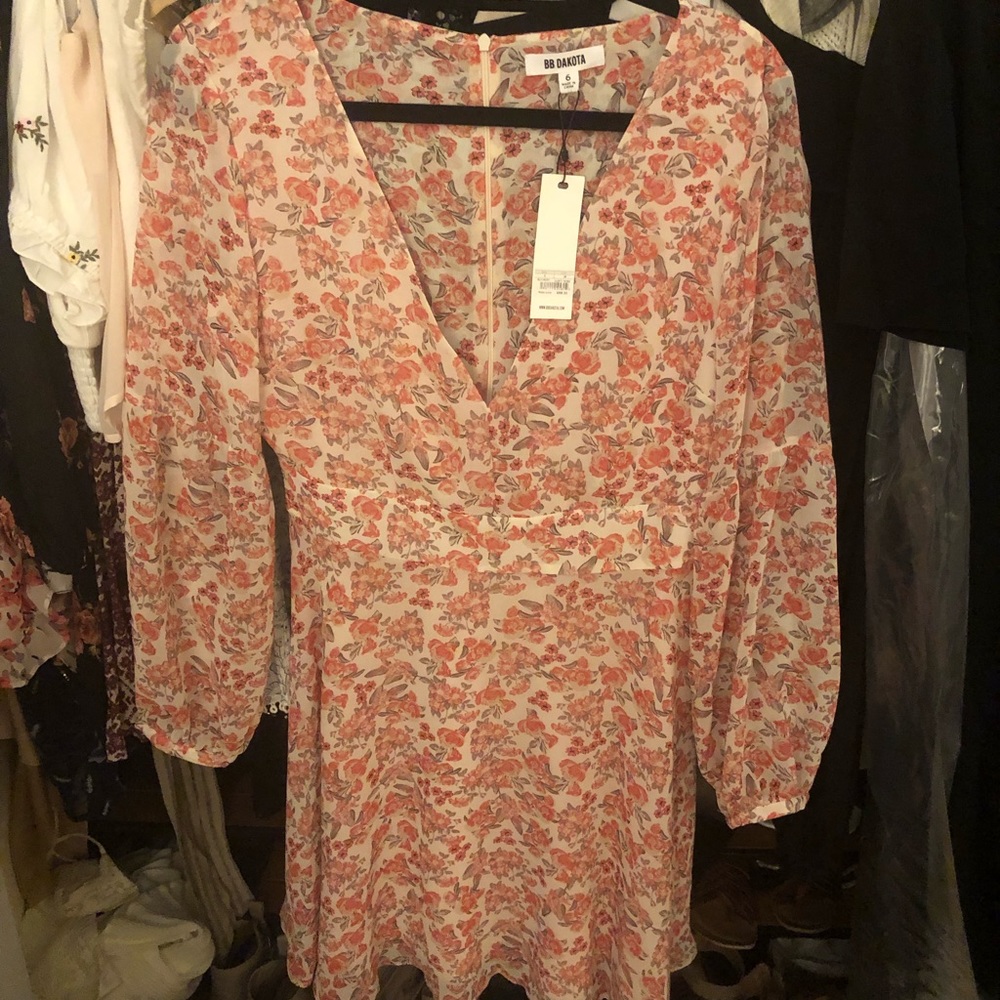 Bb Dakota Dress-BRAND NEW